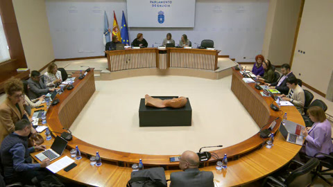 Comisión  5ª,  Sanidade,  Política  Social  e  Emprego