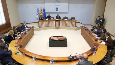 Comisión 6ª: Industria, Enerxía, Comercio e Tursimo