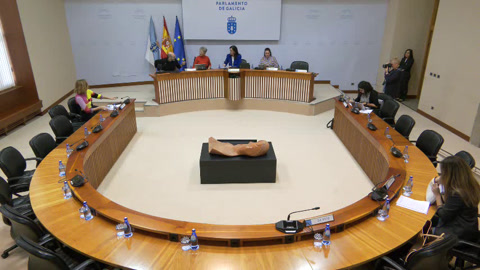 Comisión non permanente de estudo para a Igualdade e para os Dereitos da Mulleres