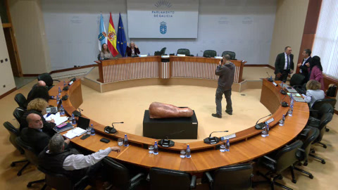 Comisión 1ª, Institucional, de Administración Xeral, Xustiza e Interior