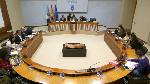 Comisión 2ª, Ordenación Territorial, Obras Públicas, Medio Ambiente e Servizos