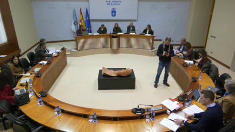 Comisión 2ª, Ordenación Territorial, Obras Públicas, Medio Ambiente e Servizos