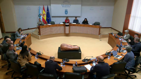 Comisión  Permanente  non  lexislativa  de  Control  da  Corporación  de  Servizos...