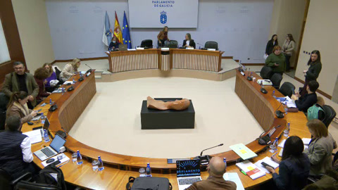 Comisión  5ª,  Sanidade,  Política  Social  e  Emprego